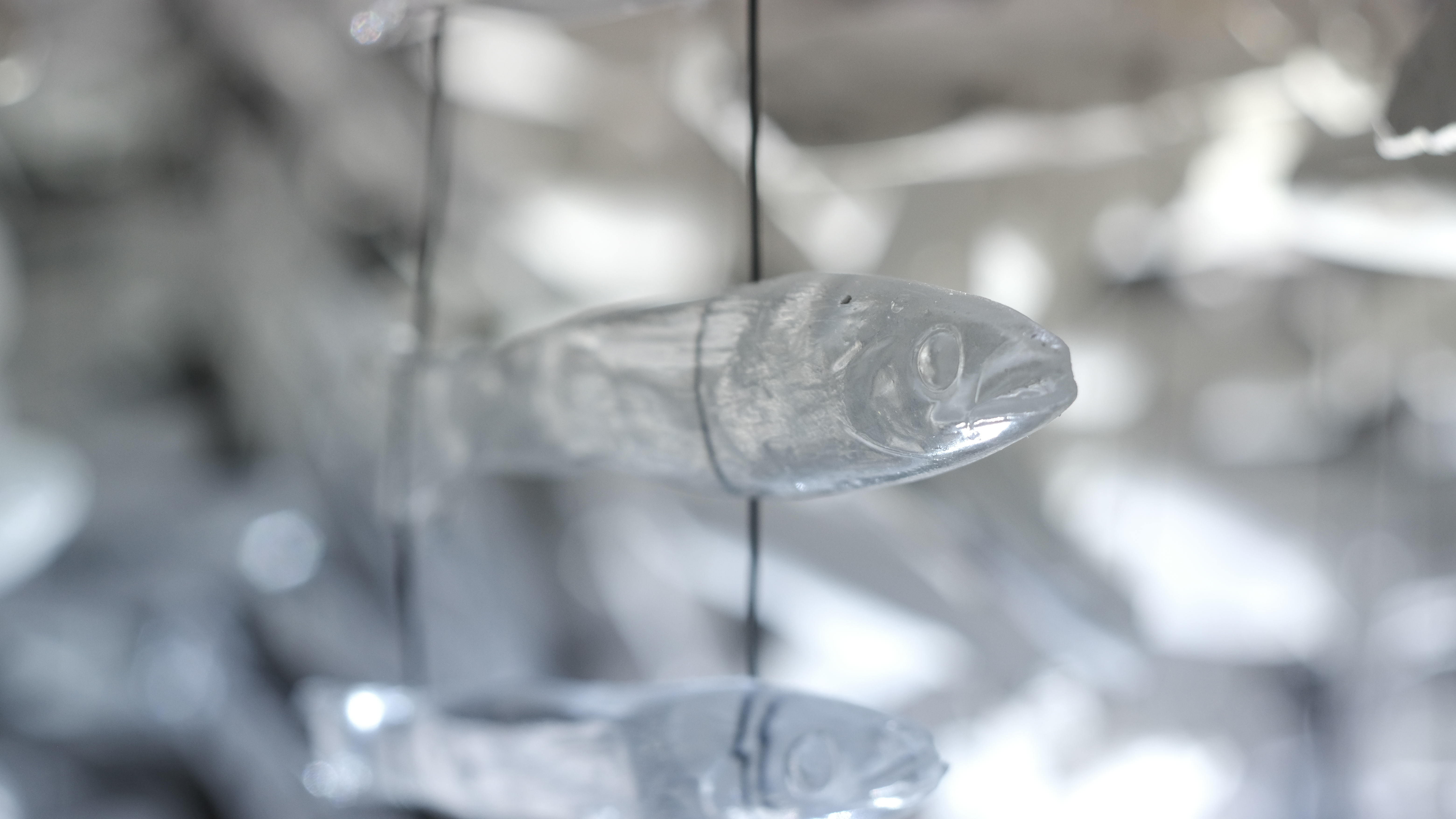 Maelström !, installation immersive — données et lumière, Alessia Sanna