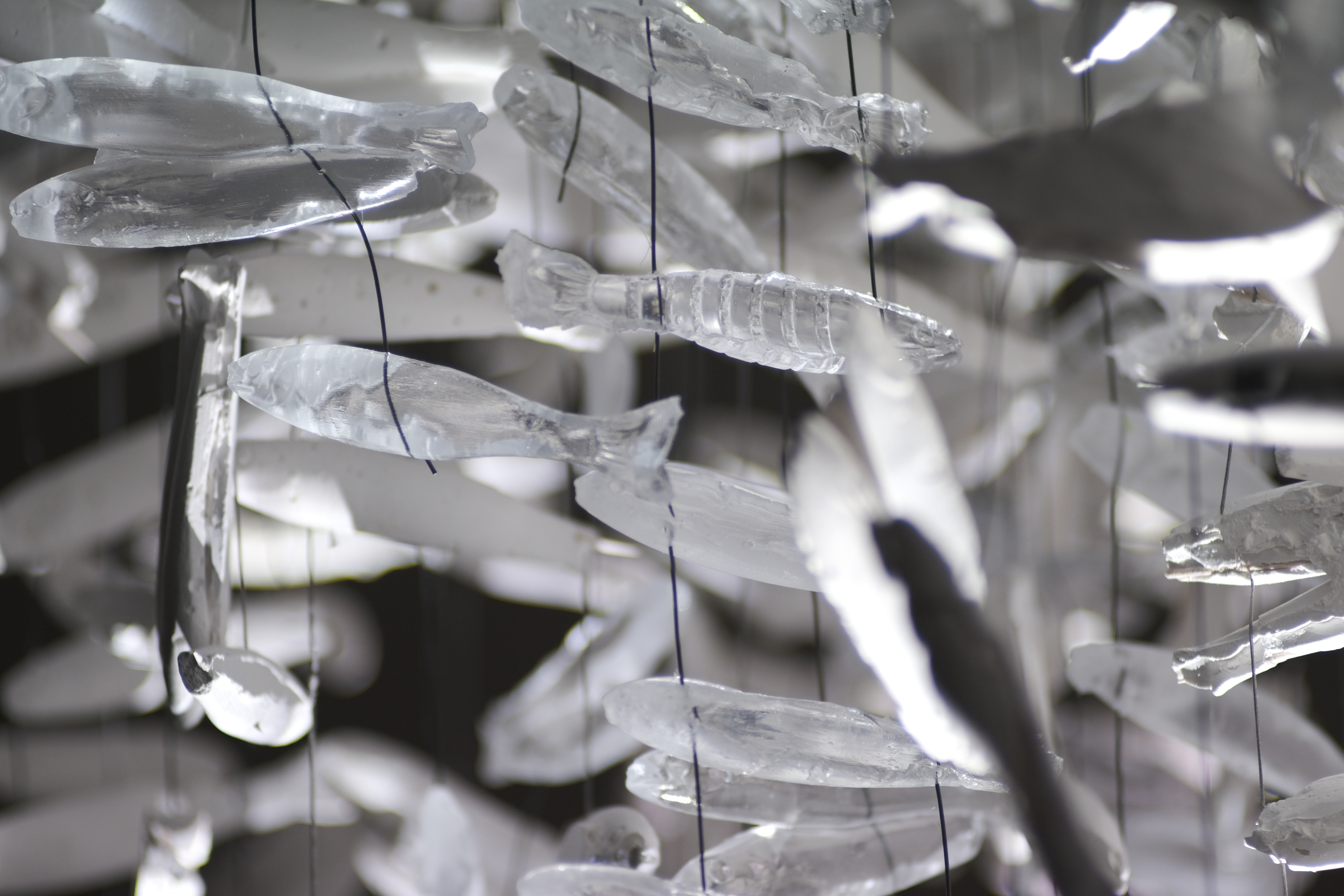 Maelström !, dispositifs Ghost Net Feed Dead Communities — Alessia Sanna