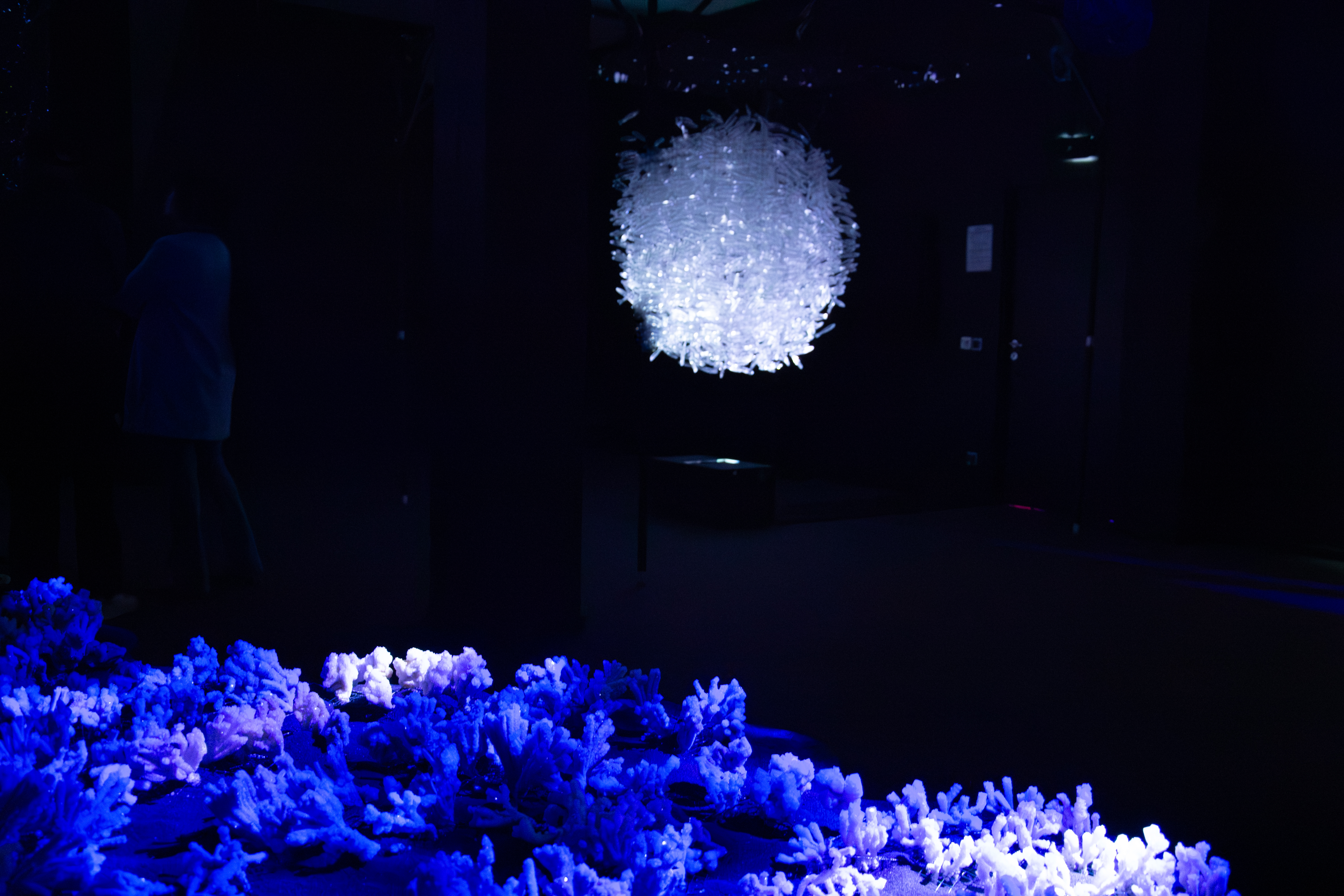 Maelström !, Feed — dispositif sphérique et signaux lumineux, Alessia Sanna