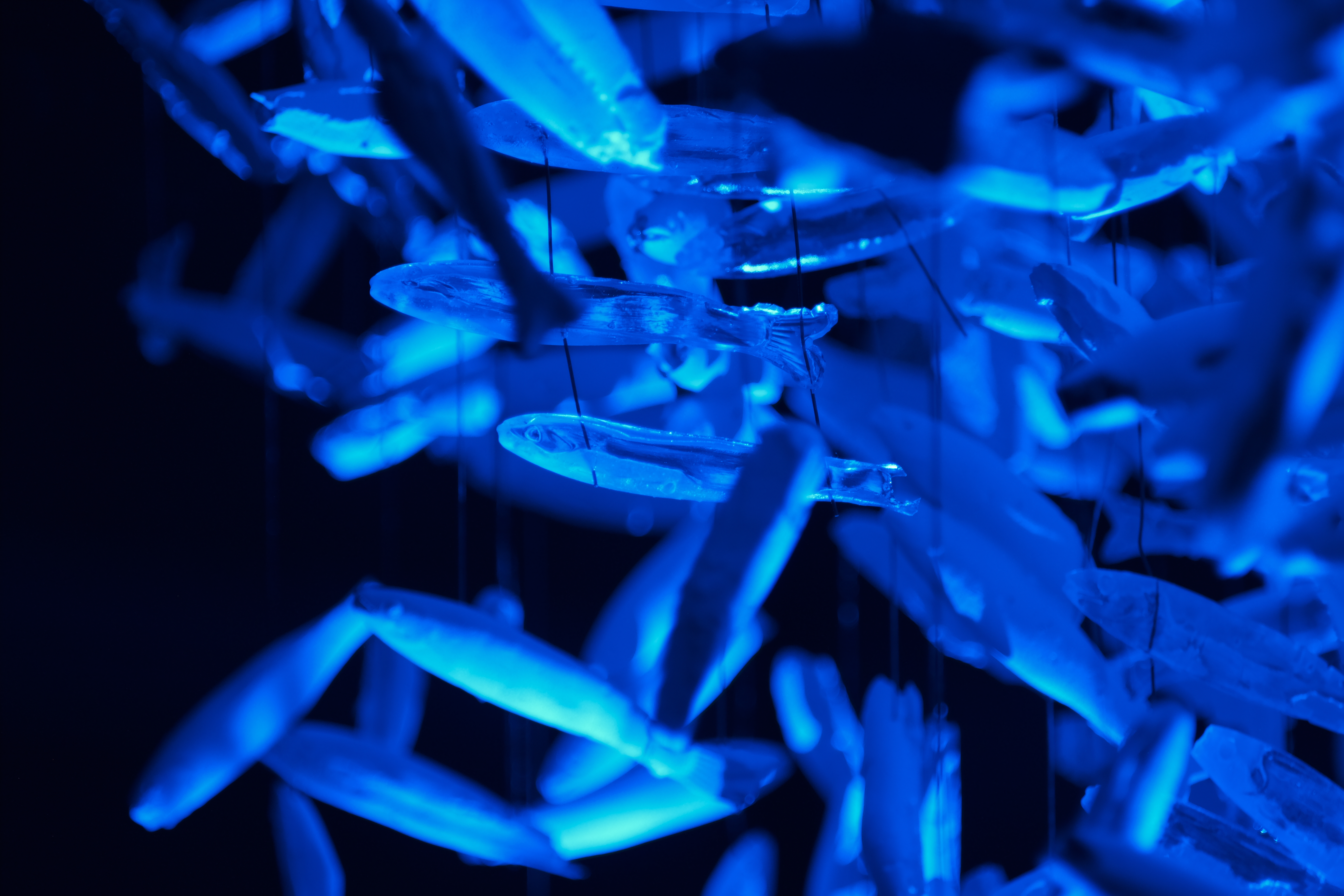 Maelström, installation — Alessia Sanna