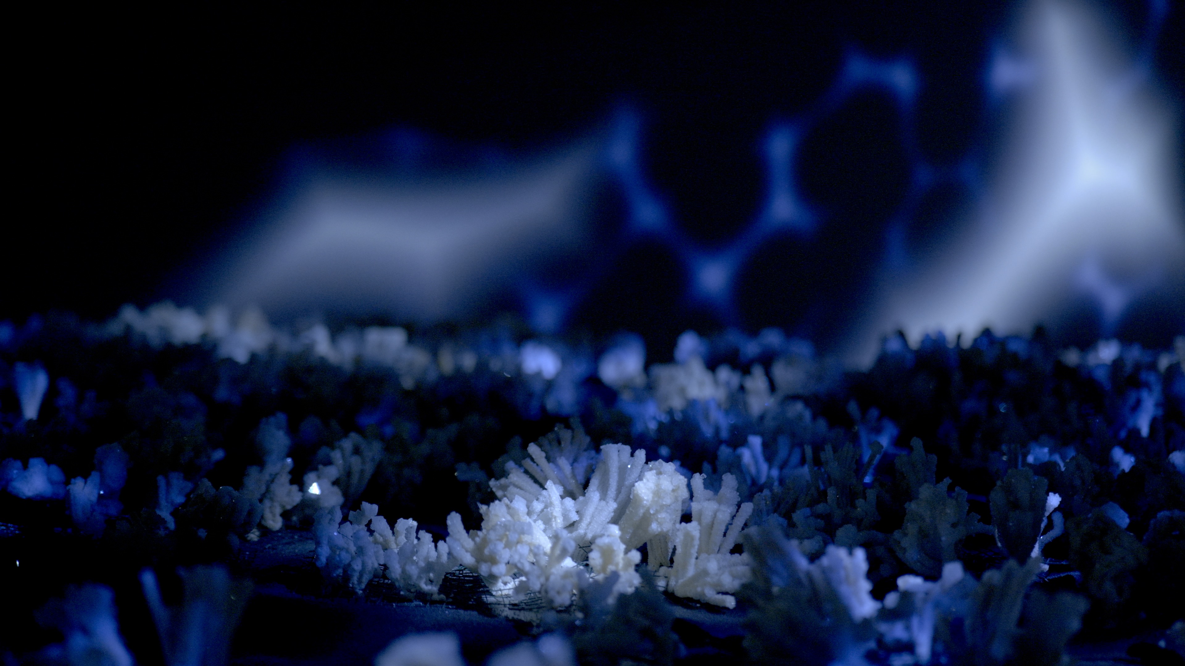 Maelström, installation — Alessia Sanna